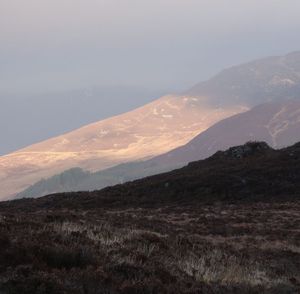 Duntanlich Weekend Grinder