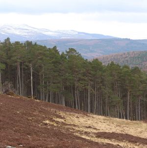Blair Atholl Gravel Adventure