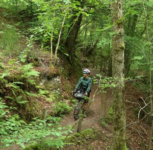 Drovers Trail - Stage 2