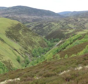 Cairngorms Grand Tour